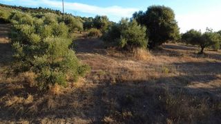Οικόπεδο 9.296 τ.μ. για πώληση, Μεσσηνία, Αυλώνα-thumb-4