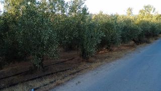 Οικόπεδο 9.296 τ.μ. για πώληση, Μεσσηνία, Αυλώνα-thumb-5