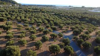 Οικόπεδο 9.296 τ.μ. για πώληση