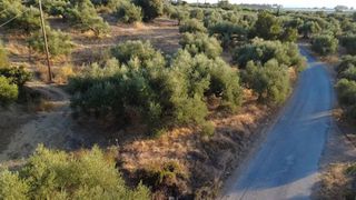Οικόπεδο 9.296 τ.μ. για πώληση, Μεσσηνία, Αυλώνα-thumb-17