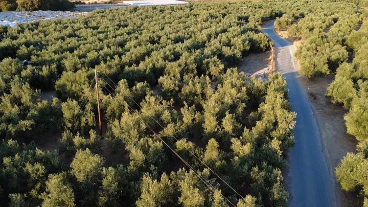 Οικόπεδο 9.296 τ.μ. πρός πώληση, Μεσσηνία, Αυλώνα