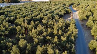 Οικόπεδο 9.296 τ.μ. για πώληση, Μεσσηνία, Αυλώνα-thumb-2