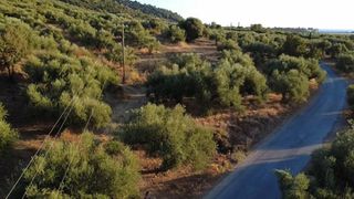 Οικόπεδο 9.296 τ.μ. για πώληση, Μεσσηνία, Αυλώνα-thumb-6