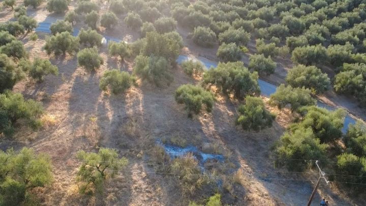 Οικόπεδο 9.296 τ.μ. πρός πώληση, Μεσσηνία, Αυλώνα