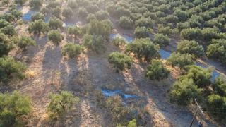 Οικόπεδο 9.296 τ.μ. για πώληση, Μεσσηνία, Αυλώνα-thumb-3