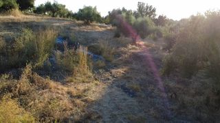 Οικόπεδο 9.296 τ.μ. για πώληση, Μεσσηνία, Αυλώνα-thumb-12
