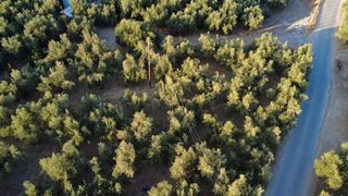 Οικόπεδο 9.296 τ.μ. για πώληση, Μεσσηνία, Αυλώνα-thumb-16