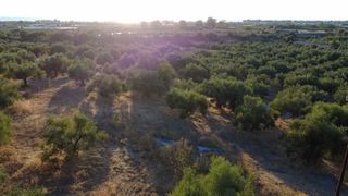 Οικόπεδο 9.296 τ.μ. για πώληση, Μεσσηνία, Αυλώνα-thumb-1