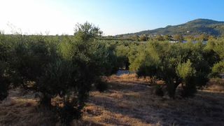 Οικόπεδο 9.296 τ.μ. για πώληση, Μεσσηνία, Αυλώνα-thumb-13