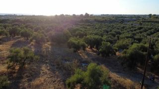 Οικόπεδο 9.296 τ.μ. για πώληση, Μεσσηνία, Αυλώνα-thumb-18