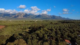 Μονοκατοικία 100 τ.μ. για πώληση, Μεσσηνία, Φιλιατρά-thumb-26