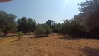 Μονοκατοικία 100 τ.μ. για πώληση, Μεσσηνία, Φιλιατρά-thumb-18