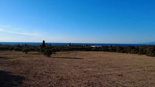 Μονοκατοικία 100 τ.μ. για πώληση, Μεσσηνία, Φιλιατρά-thumb-3