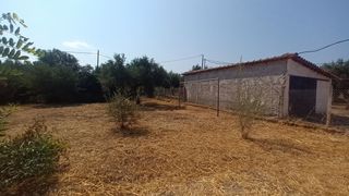 Μονοκατοικία 100 τ.μ. για πώληση, Μεσσηνία, Φιλιατρά-thumb-17