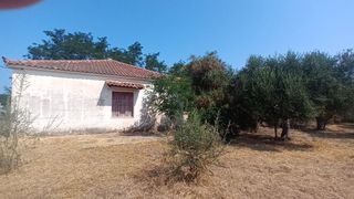 Μονοκατοικία 100 τ.μ. για πώληση, Μεσσηνία, Φιλιατρά-thumb-19