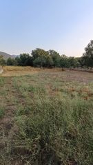 Οικόπεδο 600 τ.μ. για πώληση, Μεσσηνία, Δώριο-thumb-3