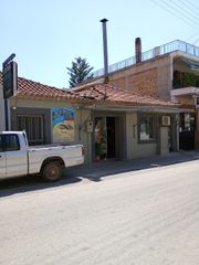 Κατάστημα 114 τ.μ. για πώληση, Μεσσηνία, Κορώνη-thumb-10