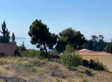 Οικόπεδο 1.003τ.μ. για πώληση-Κρανίδι