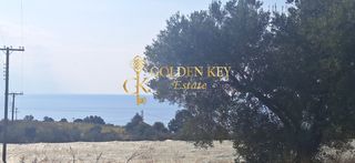 Αγροτεμάχια 1.400 τ.μ. για πώληση, Ν. Καβάλας, Ελευθερές-thumb-4