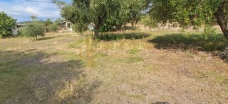Αγροτεμάχια 1.400 τ.μ. για πώληση, Ν. Καβάλας, Ελευθερές-thumb-6