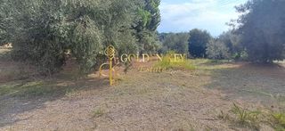 Αγροτεμάχια 1.400 τ.μ. για πώληση, Ν. Καβάλας, Ελευθερές-thumb-2