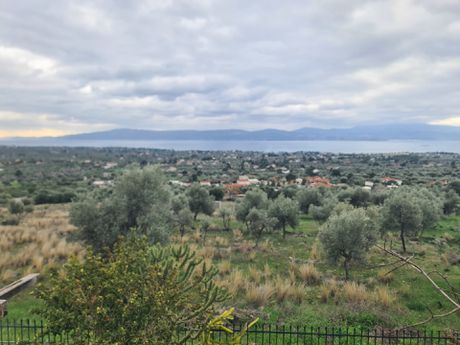 Detached home 160sqm for sale-Amarinthos