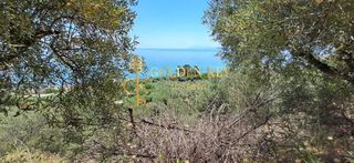 Αγροτεμάχια 6.000 τ.μ. για πώληση, Ν. Καβάλας, Ελευθερές-thumb-4