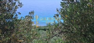 Αγροτεμάχια 6.000 τ.μ. για πώληση, Ν. Καβάλας, Ελευθερές-thumb-1