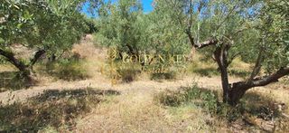 Αγροτεμάχια 6.000 τ.μ. για πώληση, Ν. Καβάλας, Ελευθερές-thumb-5