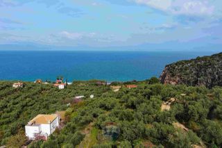 Οικόπεδο 8.292 τ.μ. για πώληση, Μεσσηνία, Αβία-thumb-18