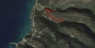 Οικόπεδο 8.292 τ.μ. για πώληση, Μεσσηνία, Αβία-thumb-1