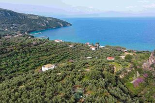 Οικόπεδο 8.292 τ.μ. για πώληση, Μεσσηνία, Αβία-thumb-7