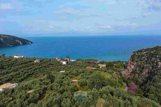 Οικόπεδο 8.292 τ.μ. για πώληση, Μεσσηνία, Αβία-thumb-8