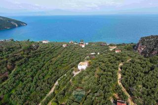 Οικόπεδο 8.292 τ.μ. για πώληση, Μεσσηνία, Αβία-thumb-6