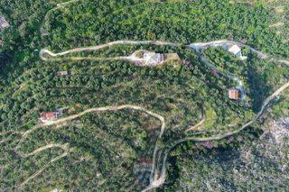 Οικόπεδο 8.292 τ.μ. για πώληση, Μεσσηνία, Αβία-thumb-5