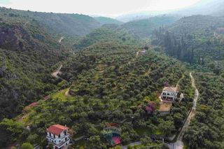Οικόπεδο 8.292 τ.μ. για πώληση, Μεσσηνία, Αβία-thumb-13