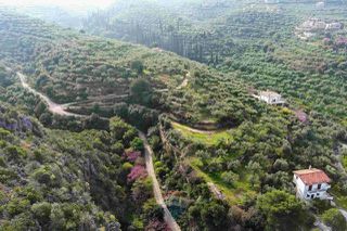 Οικόπεδο 8.292 τ.μ. για πώληση, Μεσσηνία, Αβία-thumb-14
