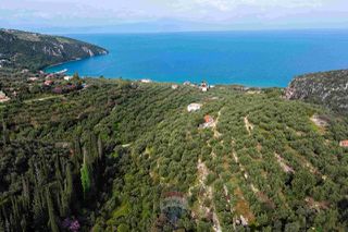 Οικόπεδο 8.292 τ.μ. για πώληση, Μεσσηνία, Αβία-thumb-19