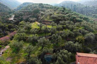 Οικόπεδο 8.292 τ.μ. για πώληση, Μεσσηνία, Αβία-thumb-16