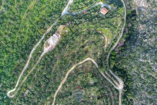 Οικόπεδο 8.292 τ.μ. για πώληση, Μεσσηνία, Αβία-thumb-3