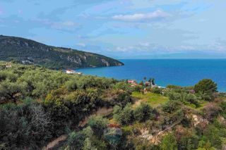 Οικόπεδο 8.292 τ.μ. για πώληση, Μεσσηνία, Αβία-thumb-17