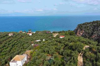 Οικόπεδο 8.292 τ.μ. για πώληση, Μεσσηνία, Αβία-thumb-9