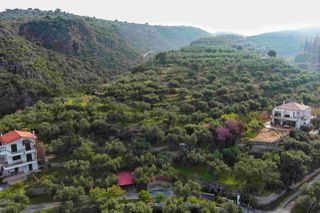 Οικόπεδο 8.292 τ.μ. για πώληση, Μεσσηνία, Αβία-thumb-11
