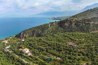 Οικόπεδο 8.292 τ.μ. για πώληση, Μεσσηνία, Αβία-thumb-12