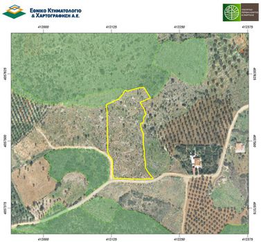 Parcel 10.449,28sqm for sale-Monemvasia