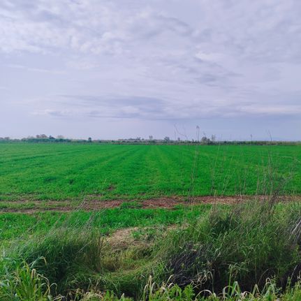 Land plot 13.133 sqm for sale, Messinia, Kalamata