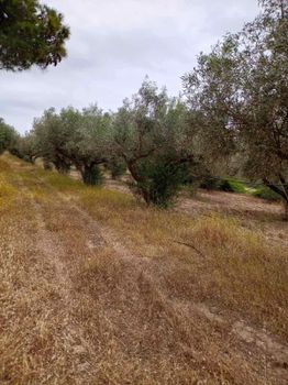 Οικόπεδο 10.860τ.μ. για πώληση-Κερατέα