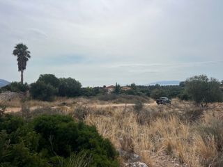 Αγροτεμάχια 2.004 τ.μ. για πώληση