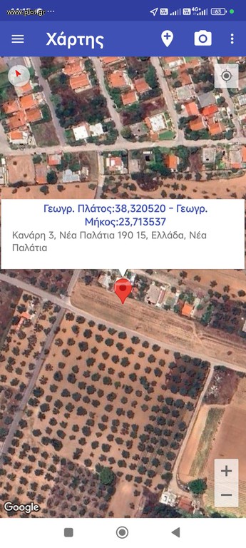 Αγροτεμάχια 5.000 τ.μ. πρός πώληση, Αττική - Υπόλοιπο, Ωρωπός