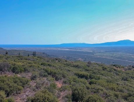 Parcel 28.000sqm for sale-Arfara